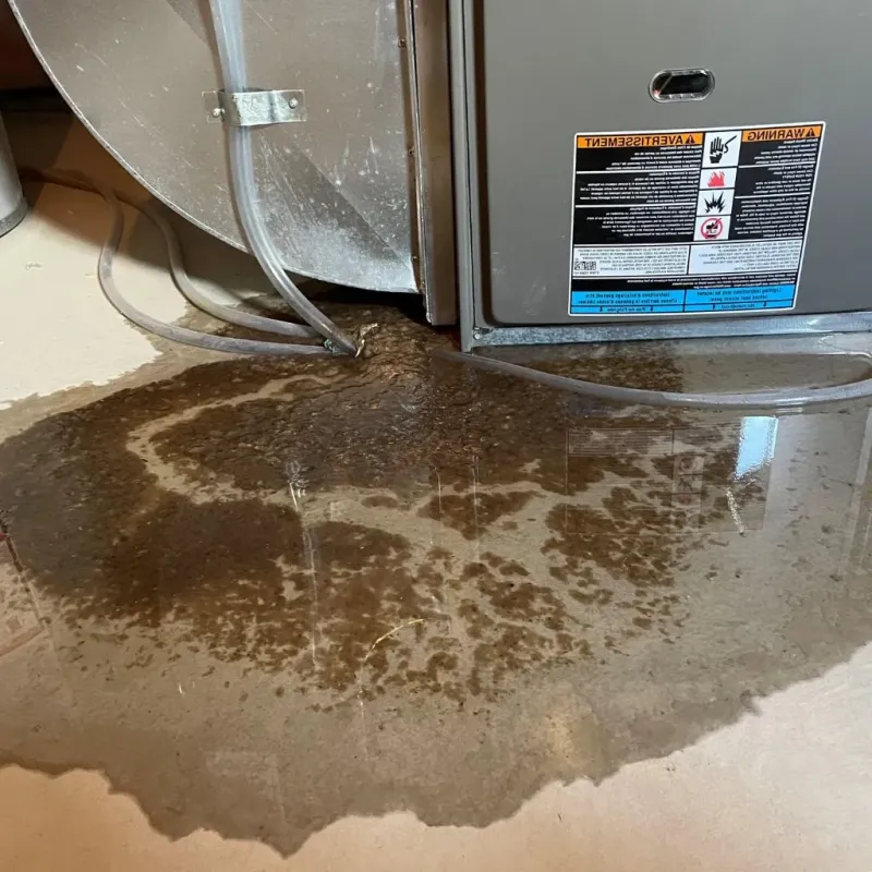 Pipe Burst and Leak Restoration in Mitchell, IN