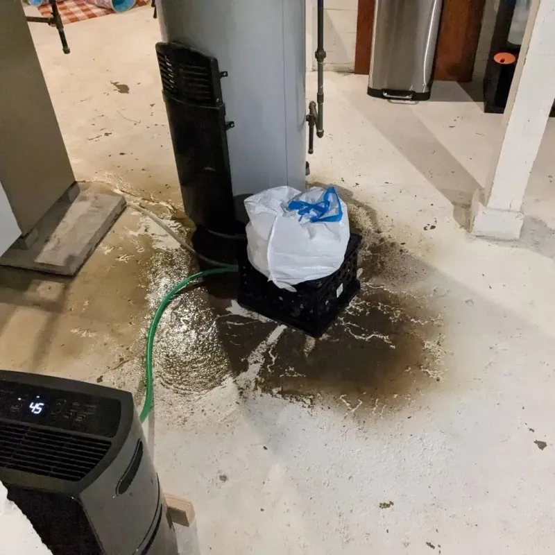 Sewage Backup Cleanup Service in Mitchell, IN